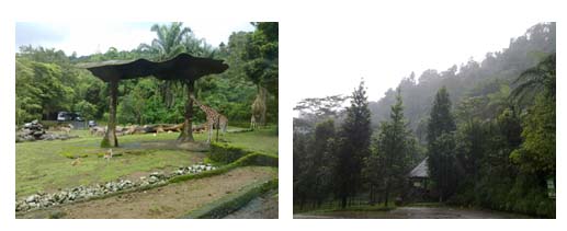 alam